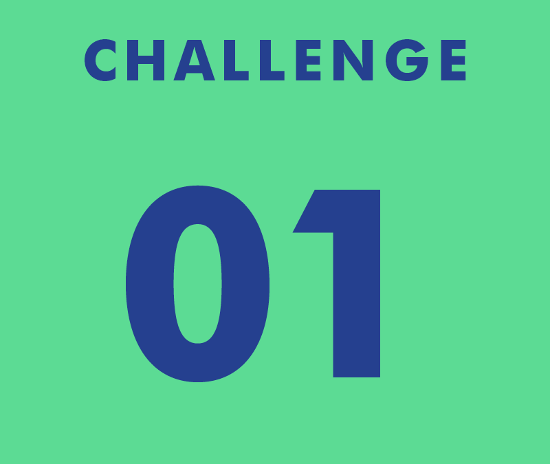 CHALLENGE 01