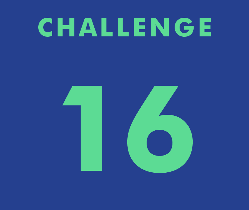 CHALLENGE 16