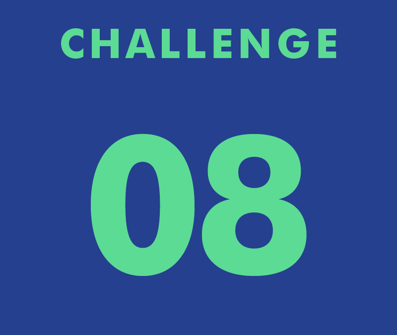 CHALLENGE 08